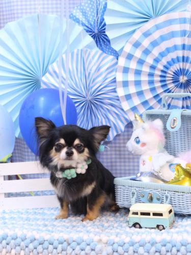 20231126アリューくん